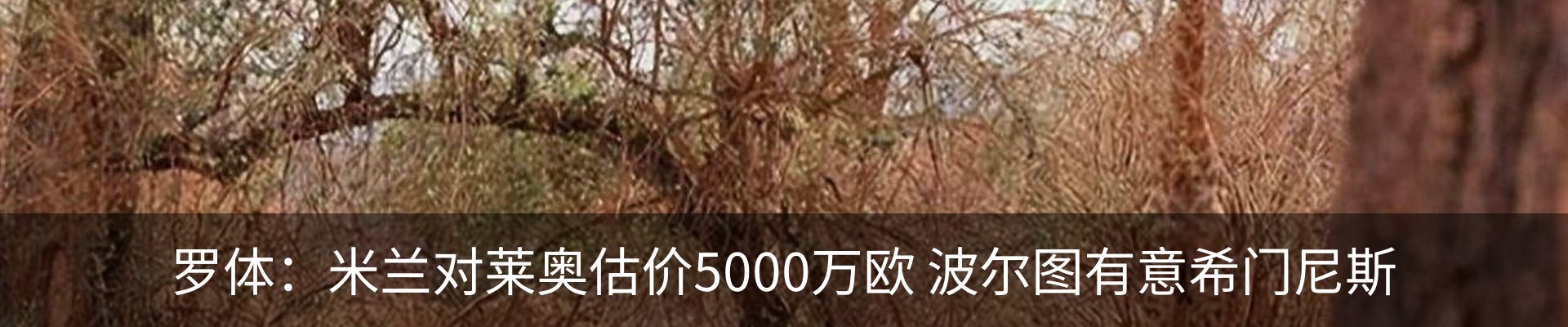 热点资讯