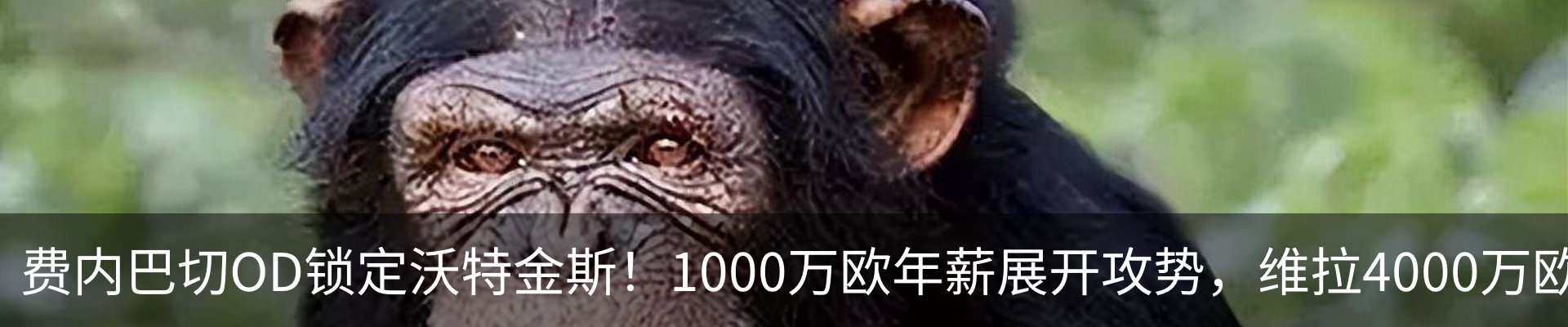 热点资讯